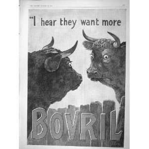  1902 ADVERTISEMENT BOVRIL HIGHLAND CATTLE ANIMALS
