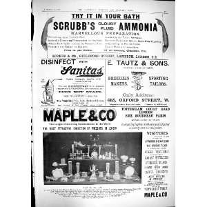  1900 Advertisement ScrubbS Ammonia Tautz Tailors Maple 