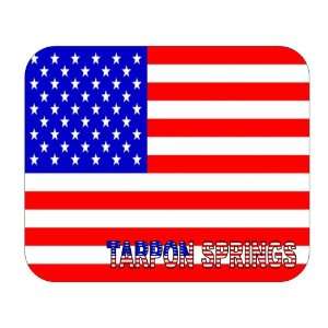  US Flag   Tarpon Springs, Florida (FL) Mouse Pad 
