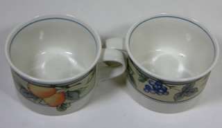 MIKASA GARDEN HARVEST Intaglio Stoneware 2 Coffee Tea Cups  