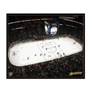  NHL Los Angeles Mighty Ducks Arena 22x28 Canvas Art 