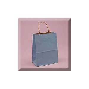   19 1/4 Country Blue Shadow Stripe Hdl Bag