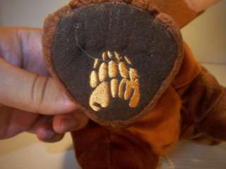 This is a Disney Brother Bear Koda Bear Plush by Hasbro. This plush is 