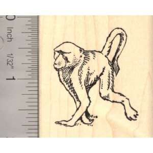  Baboon Monkey Rubber Stamp Arts, Crafts & Sewing