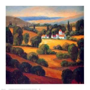   Landscape Ii   Poster by Tomasino Napolitano (15 x 15)