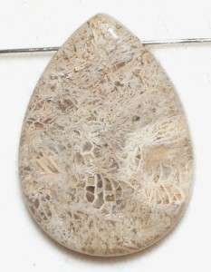 Fossil Coral Teardrop Focal Pendant Bead 30mm  