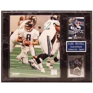 NFL Redskins Mark Brunell 12 by 15 Two Card Plaque Sports 