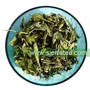 Stevia Tea 100g, ???  Grocery & Gourmet Food