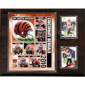  NFL Cincinnati Bengals Licensed 2010 Score Team Package 