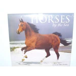  2008 Horses By the Sea 16 Month Calendar