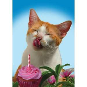  BIRTHDAY W/ CAT LICKING CUPCAKE