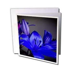  Yves Creations Lilies Prints   Gorgeous Blue Lily 