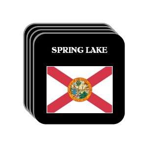  US State Flag   SPRING LAKE, Florida (FL) Set of 4 Mini 