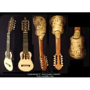  Charangarto   The Charango with Alligator Sound Box 