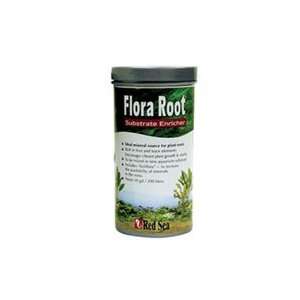  Red Sea Flora Root