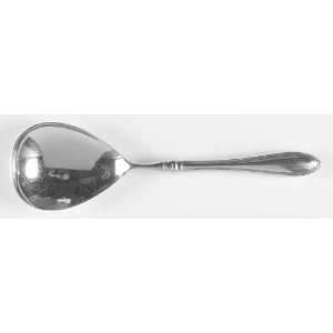  Oneida Sheraton (Stainless) Solid Smooth Casserole Spoon 
