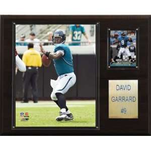  NFL David Garrard Jacksonville Jaguars Player Plaque 