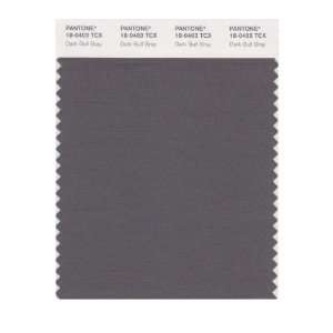  PANTONE SMART 18 0403X Color Swatch Card, Dark Gull Gray 