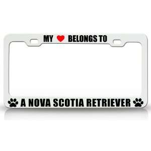  MY HEART BELONGS TO A NOVA SCOTIA RETRIEVER Dog Pet Steel 
