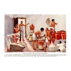   Egyptian Brewery XII Dynasty   H. M. Herget Ancient Egypt Print