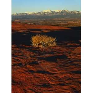  Background, Canyon Rims, Canyonlands National Park, Colorado Plateau 