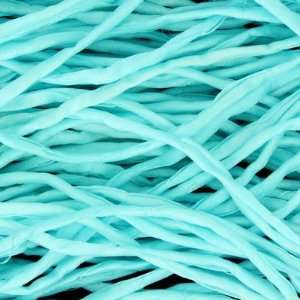    2mm Pale Turquoise Satin Silk String Arts, Crafts & Sewing