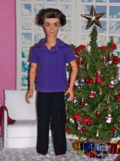 HANDSOME MY SCENE RIVER MALE BARBIE DOLL DRESSED EUC GREAT CHRISTMAS 
