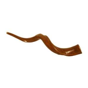  Mid East SHON Extra Large Synthetic Shofar Musical 