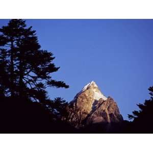  Silhouetted Conifers Frame a View of the Fishtail Peak of 