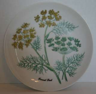 Shafford Plate Fennel Spice Herb Plate Collectible  