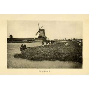 1906 Print Zaan Windmill Canoe Cattle Cows North Holland Netherlands 