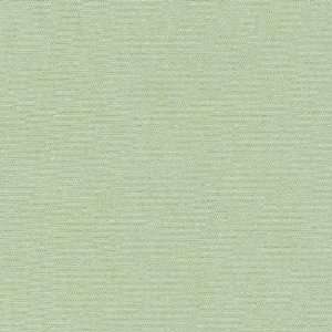  60 Wide Lightweight Interlock Knit Mint Green Fabric By 