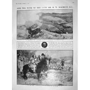   1910 STAG HUNTING FOX MACBETH ROSCOE HARCOURT CROOKES