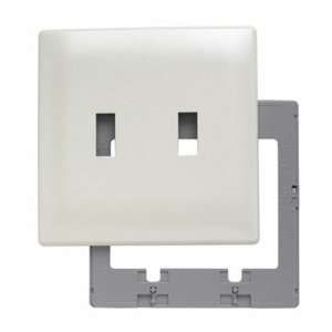  Two Gang Two Toggle Openings Screwless Wall Plate in Light 