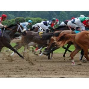  Race Horses in Action, Saratoga Springs, New York, USA 