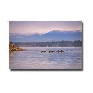  Sandpoint I Giclee Print