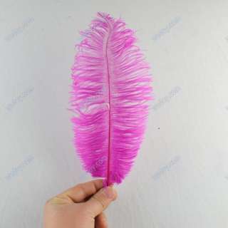   Ostrich Feathers 8 10 Assorted Colors White/Black/Purple/Fuchsia