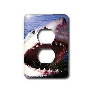   White   Light Switch Covers   2 plug outlet cover