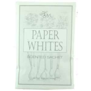  Paperwhites Paper Sachet Envelope