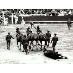  Men Descend into the Arena to Carry Away the Murdered Bull 