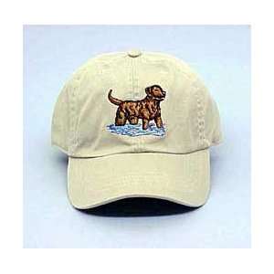 Chesapeake Bay Retriever Hat