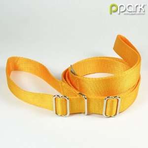  Slip lead leash w/ blocking skid   Golden Yellow   Medium 