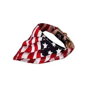  America the Beautiful Bandana Dog Collar (XXS Medium 