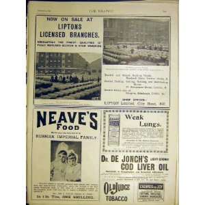  Advert Liptons Whisky London Warehouse NeaveS 1898