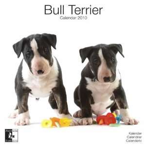  Bull Terrier 2010 Wall Calendar