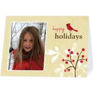    Holiday Cards   Holiday Robin By Nancy Kubo