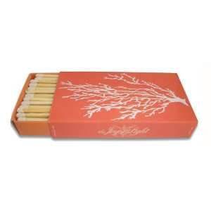   Coral Embossed 4 Wooden Matches in Glossy Matchbox