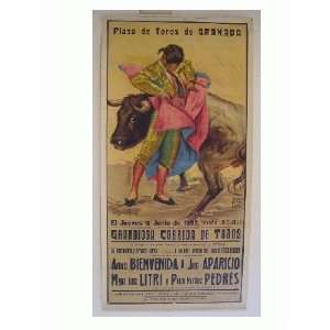 Spanish Matador Poster Original