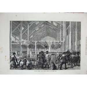 New Foreign Cattle Market Deptford Shed Animals 1872