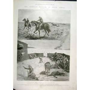  Infantry Irish Horses Guerilla War Africa Print 1901